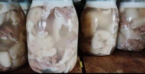 A Jelatina di Grisolia