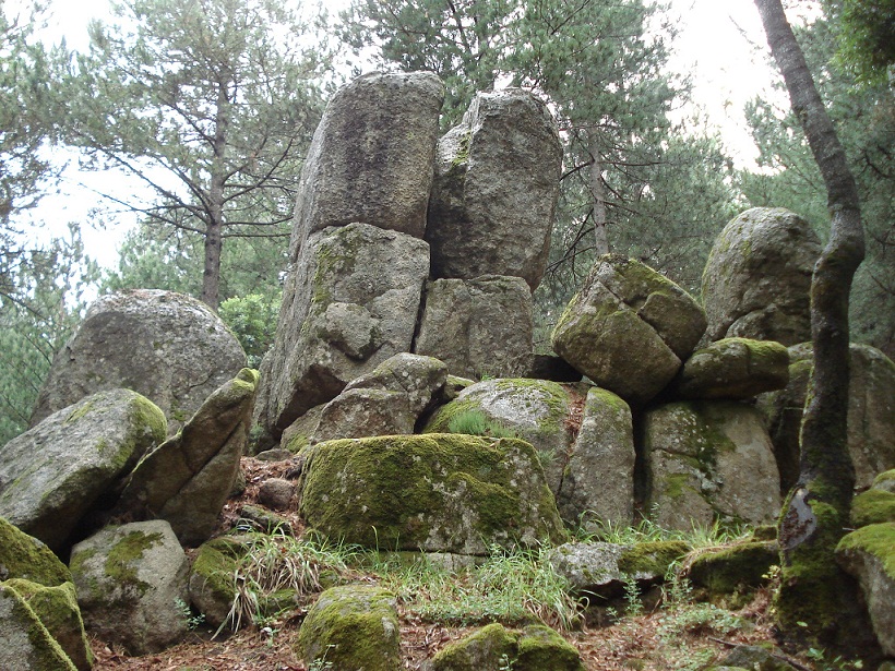Nardodipace in Calabria